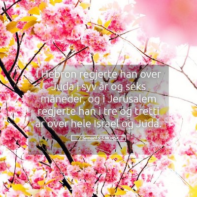 Picture 05 - 2 Samuel 5:5 NORSK - I Hebron regjerte han over Juda i syv år og seks - Bible Verse Picture