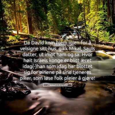 Picture 05 - 2 Samuel 6:20 NORSK - Da David kom hjem igjen for å velsigne sitt hus, - Bible Verse Picture