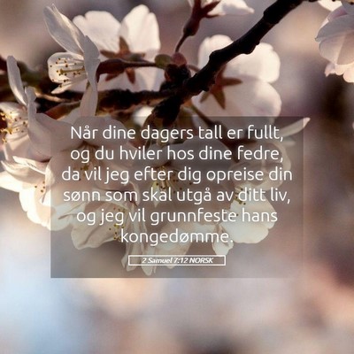 Picture 05 - 2 Samuel 7:12 NORSK - Når dine dagers tall er fullt, og du hviler hos - Bible Verse Picture