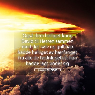 Picture 05 - 2 Samuel 8:11 NORSK - Også dem helliget kong David til Herren sammen - Bible Verse Picture