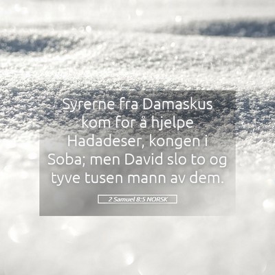 Picture 05 - 2 Samuel 8:5 NORSK - Syrerne fra Damaskus kom for å hjelpe Hadadeser, - Bible Verse Picture