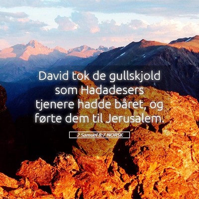 Picture 05 - 2 Samuel 8:7 NORSK - David tok de gullskjold som Hadadesers tjenere - Bible Verse Picture