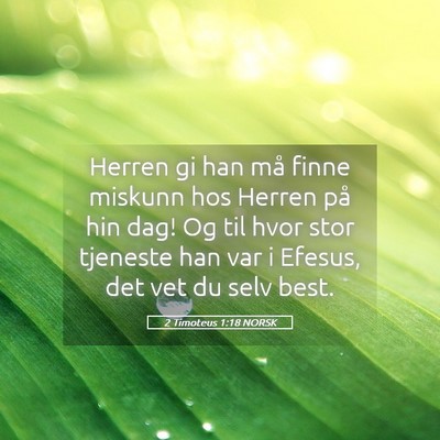 Picture 05 - 2 Timoteus 1:18 NORSK - Herren gi han må finne miskunn hos Herren på - Bible Verse Picture