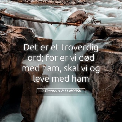 Picture 05 - 2 Timoteus 2:11 NORSK - Det er et troverdig ord; for er vi død med ham, - Bible Verse Picture