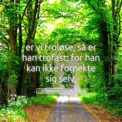 Picture 05 - 2 Timoteus 2:13 NORSK - er vi troløse, så er han trofast; for han kan - Bible Verse Picture