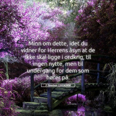 Picture 05 - 2 Timoteus 2:14 NORSK - Minn om dette, idet du vidner for Herrens åsyn - Bible Verse Picture