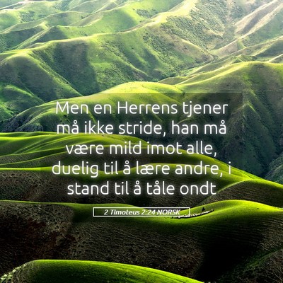Picture 05 - 2 Timoteus 2:24 NORSK - Men en Herrens tjener må ikke stride, han må - Bible Verse Picture