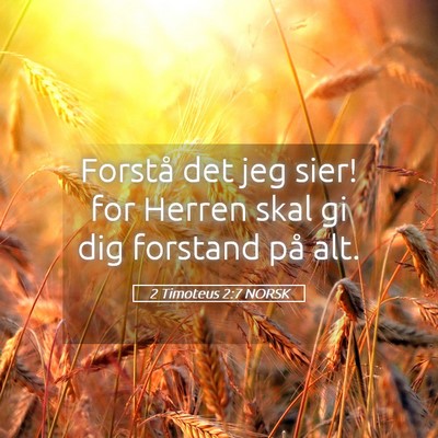Picture 05 - 2 Timoteus 2:7 NORSK - Forstå det jeg sier! for Herren skal gi dig - Bible Verse Picture