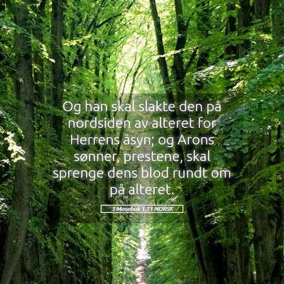 Picture 05 - 3 Mosebok 1:11 NORSK - Og han skal slakte den på nordsiden av alteret - Bible Verse Picture