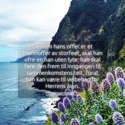 Picture 05 - 3 Mosebok 1:3 NORSK - Dersom hans offer er et brennoffer av storfeet, - Bible Verse Picture