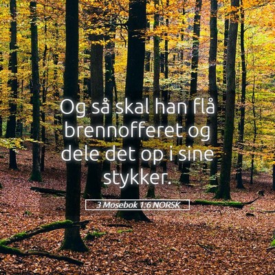 Picture 05 - 3 Mosebok 1:6 NORSK - Og så skal han flå brennofferet og dele det op - Bible Verse Picture