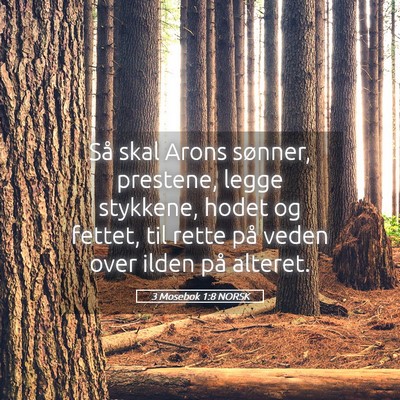 Picture 05 - 3 Mosebok 1:8 NORSK - Så skal Arons sønner, prestene, legge stykkene, - Bible Verse Picture