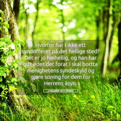 Picture 05 - 3 Mosebok 10:17 NORSK - Hvorfor har I ikke ett syndofferet på det - Bible Verse Picture