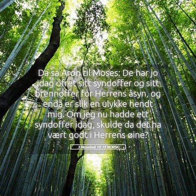 Picture 05 - 3 Mosebok 10:19 NORSK - Da sa Aron til Moses: De har jo idag ofret sitt - Bible Verse Picture