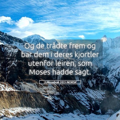 Picture 05 - 3 Mosebok 10:5 NORSK - Og de trådte frem og bar dem i deres kjortler - Bible Verse Picture