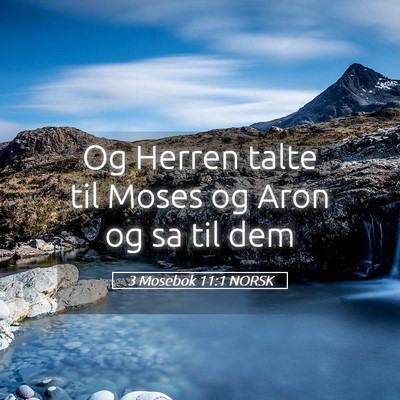 Picture 05 - 3 Mosebok 11:1 NORSK - Og Herren talte til Moses og Aron og sa til - Bible Verse Picture