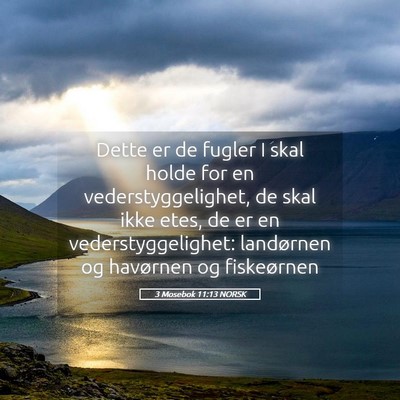 Picture 05 - 3 Mosebok 11:13 NORSK - Dette er de fugler I skal holde for en - Bible Verse Picture