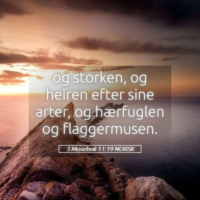 Picture 05 - 3 Mosebok 11:19 NORSK - og storken, og heiren efter sine arter, og - Bible Verse Picture
