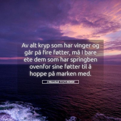 Picture 05 - 3 Mosebok 11:21 NORSK - Av alt kryp som har vinger og går på fire - Bible Verse Picture