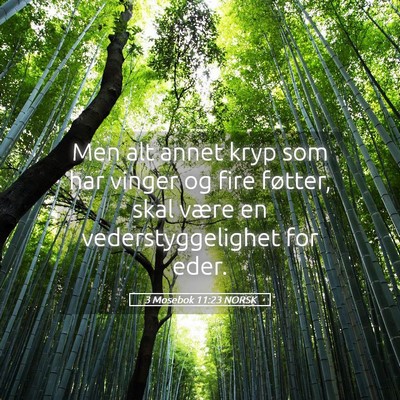Picture 05 - 3 Mosebok 11:23 NORSK - Men alt annet kryp som har vinger og fire - Bible Verse Picture