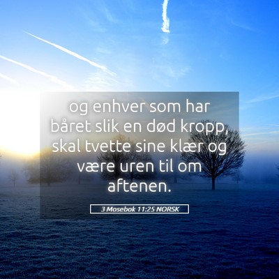 Picture 05 - 3 Mosebok 11:25 NORSK - og enhver som har båret slik en død kropp, skal - Bible Verse Picture