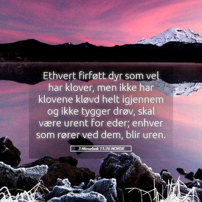 Picture 05 - 3 Mosebok 11:26 NORSK - Ethvert firføtt dyr som vel har klover, men ikke - Bible Verse Picture