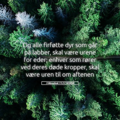 Picture 05 - 3 Mosebok 11:27 NORSK - Og alle firføtte dyr som går på labber, skal - Bible Verse Picture