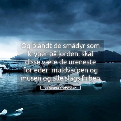 Picture 05 - 3 Mosebok 11:29 NORSK - Og blandt de smådyr som kryper på jorden, skal - Bible Verse Picture