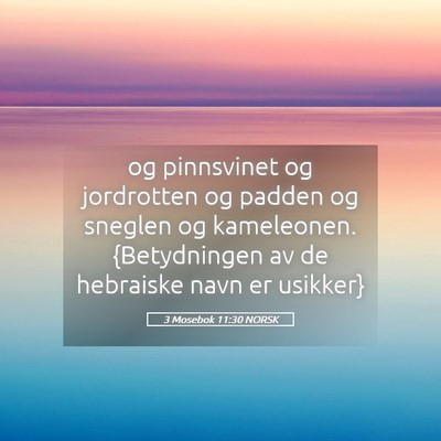 Picture 05 - 3 Mosebok 11:30 NORSK - og pinnsvinet og jordrotten og padden og sneglen - Bible Verse Picture