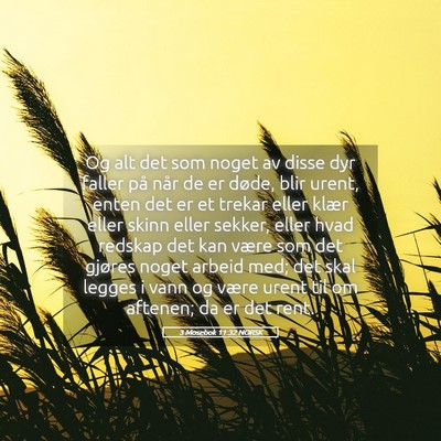 Picture 05 - 3 Mosebok 11:32 NORSK - Og alt det som noget av disse dyr faller på når - Bible Verse Picture