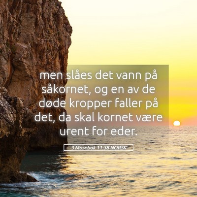 Picture 05 - 3 Mosebok 11:38 NORSK - men slåes det vann på såkornet, og en av de - Bible Verse Picture