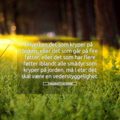 Picture 05 - 3 Mosebok 11:42 NORSK - Hverken det som kryper på buken, eller det som - Bible Verse Picture