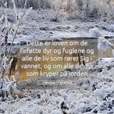 Picture 05 - 3 Mosebok 11:46 NORSK - Dette er loven om de firføtte dyr og fuglene og - Bible Verse Picture