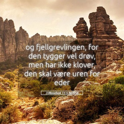 Picture 05 - 3 Mosebok 11:5 NORSK - og fjellgrevlingen, for den tygger vel drøv, men - Bible Verse Picture