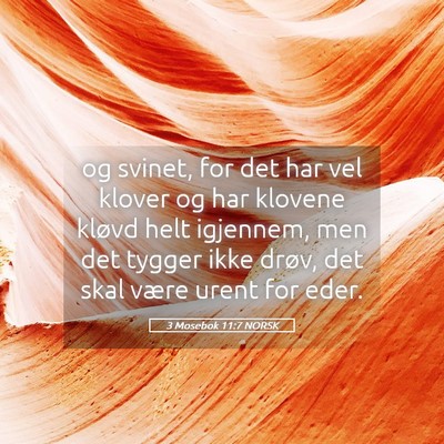 Picture 05 - 3 Mosebok 11:7 NORSK - og svinet, for det har vel klover og har klovene - Bible Verse Picture