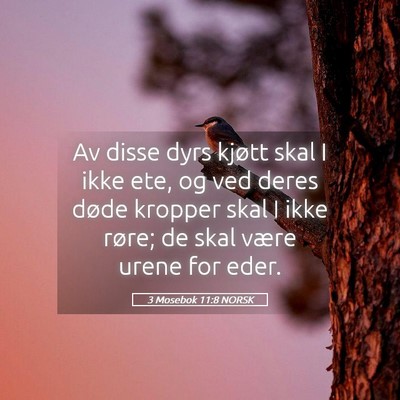 Picture 05 - 3 Mosebok 11:8 NORSK - Av disse dyrs kjøtt skal I ikke ete, og ved - Bible Verse Picture