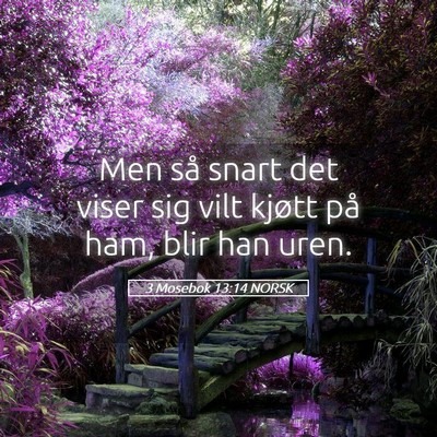 Picture 05 - 3 Mosebok 13:14 NORSK - Men så snart det viser sig vilt kjøtt på ham, - Bible Verse Picture