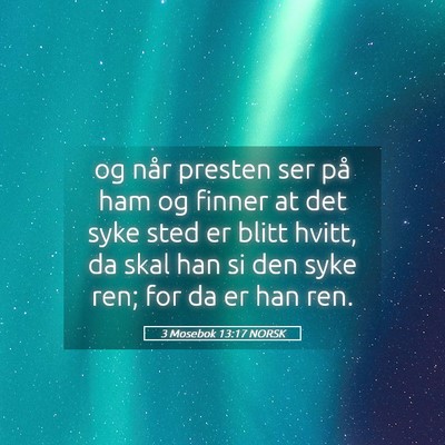 Picture 05 - 3 Mosebok 13:17 NORSK - og når presten ser på ham og finner at det syke - Bible Verse Picture
