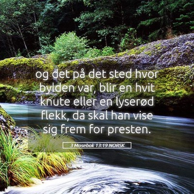 Picture 05 - 3 Mosebok 13:19 NORSK - og det på det sted hvor bylden var, blir en hvit - Bible Verse Picture