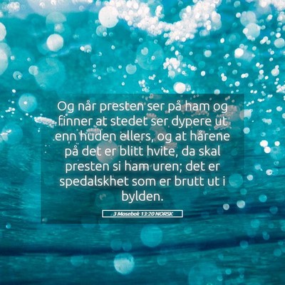 Picture 05 - 3 Mosebok 13:20 NORSK - Og når presten ser på ham og finner at stedet - Bible Verse Picture