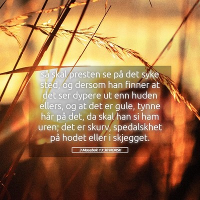 Picture 05 - 3 Mosebok 13:30 NORSK - så skal presten se på det syke sted, og dersom - Bible Verse Picture