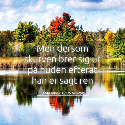 Picture 05 - 3 Mosebok 13:35 NORSK - Men dersom skurven brer sig ut på huden efterat - Bible Verse Picture