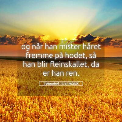 Picture 05 - 3 Mosebok 13:41 NORSK - og når han mister håret fremme på hodet, så - Bible Verse Picture