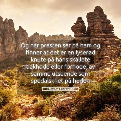 Picture 05 - 3 Mosebok 13:43 NORSK - Og når presten ser på ham og finner at det er - Bible Verse Picture