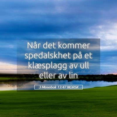Picture 05 - 3 Mosebok 13:47 NORSK - Når det kommer spedalskhet på et klæsplagg av - Bible Verse Picture