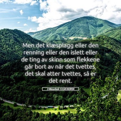 Picture 05 - 3 Mosebok 13:58 NORSK - Men det klæsplagg eller den renning eller den - Bible Verse Picture