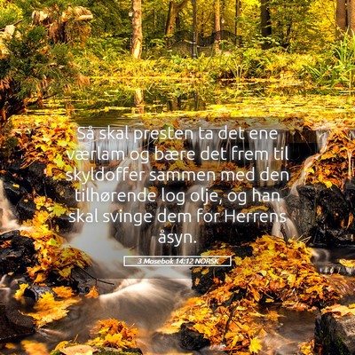 Picture 05 - 3 Mosebok 14:12 NORSK - Så skal presten ta det ene værlam og bære det - Bible Verse Picture