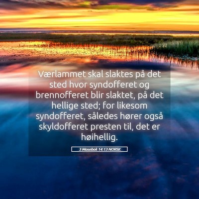 Picture 05 - 3 Mosebok 14:13 NORSK - Værlammet skal slaktes på det sted hvor - Bible Verse Picture