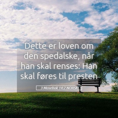 Picture 05 - 3 Mosebok 14:2 NORSK - Dette er loven om den spedalske, når han skal - Bible Verse Picture