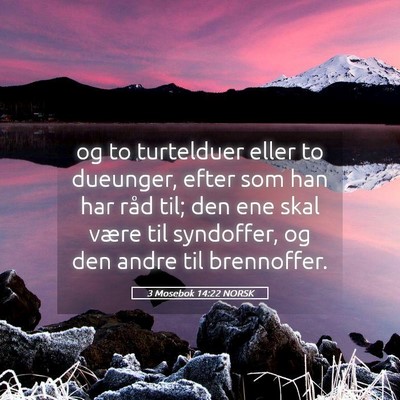 Picture 05 - 3 Mosebok 14:22 NORSK - og to turtelduer eller to dueunger, efter som han - Bible Verse Picture